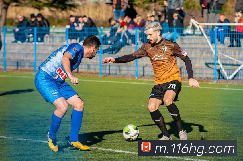 皇冠现金官网平台APP 体育赛事宣传图
